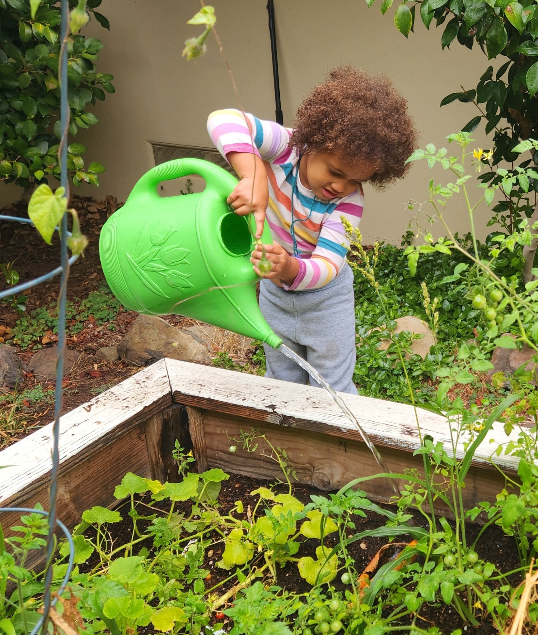 Children exploring outdoors and in the garden at You & Me